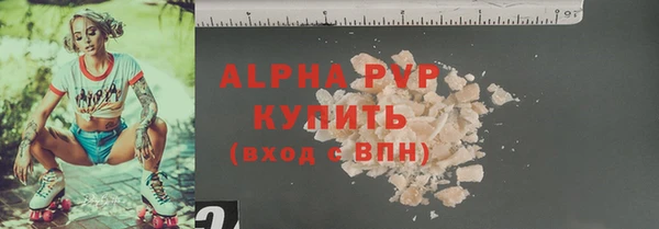 хмурый Абаза