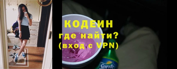хмурый Абаза