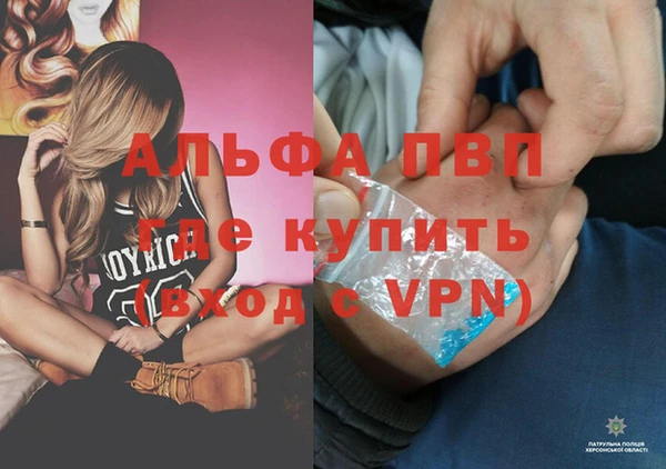 стафф Абинск