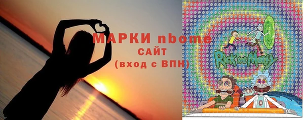 хмурый Абаза