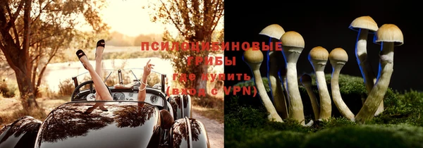стафф Абинск