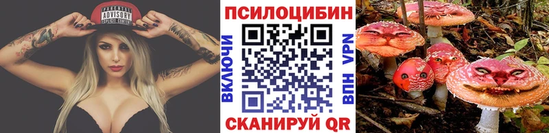 купить  сайты  Грозный  Псилоцибиновые грибы ЛСД 
